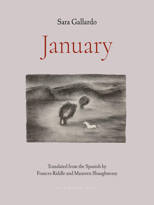 Title details for January by Sara Gallardo - Available